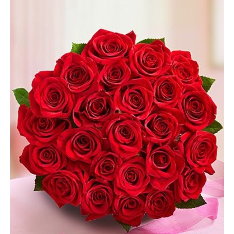 Two dozen roses