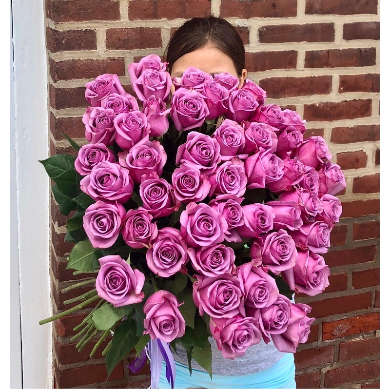50 premium lavender roses