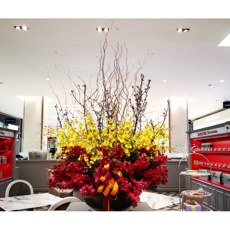 Dancing Lady On The Vase | Christmas Flower