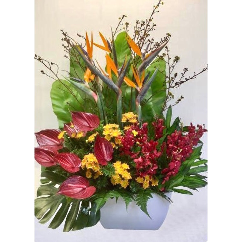 Showstopper (L) | Ceramic Vase Arrangement