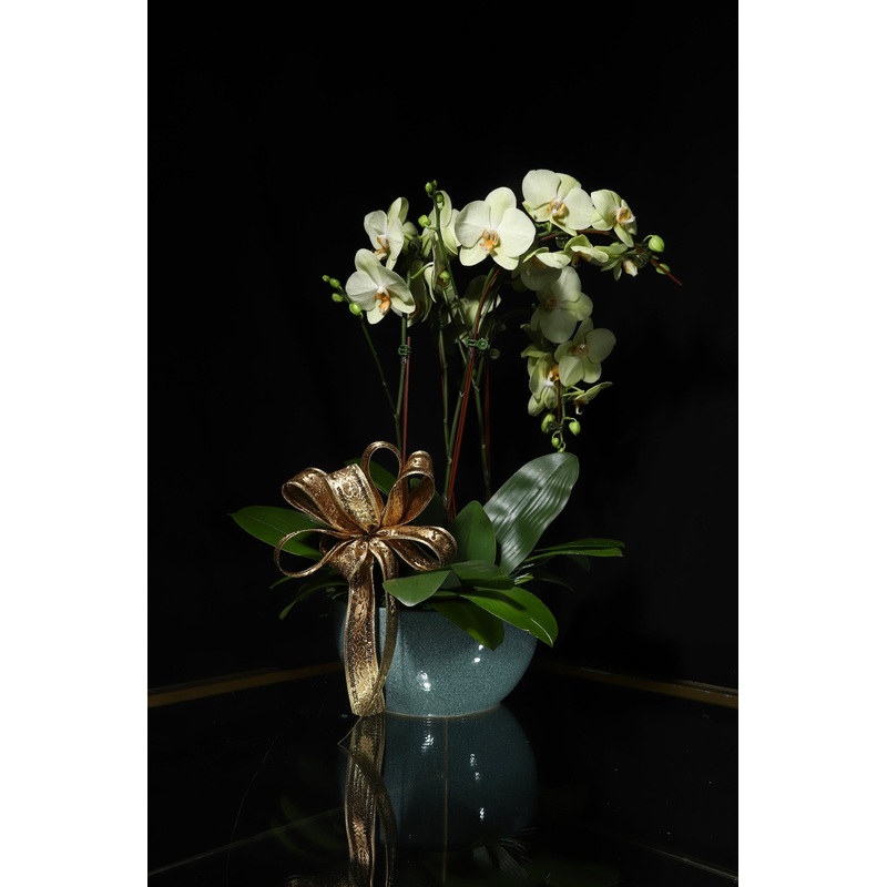 Lembayung Aidilfitri | Florism Raya 2025