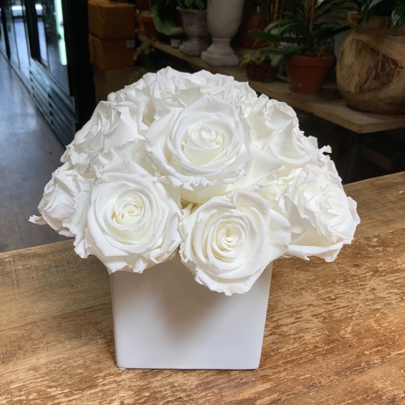 15 Preserved Roses in White Glass Cube  White