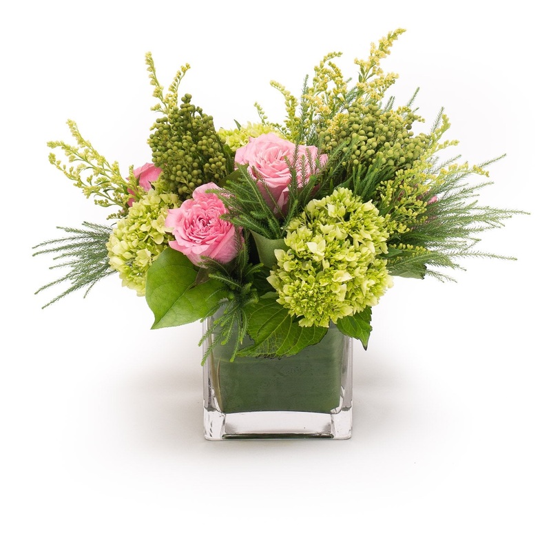 Alison-Pink & Red & White & Purple & Orange