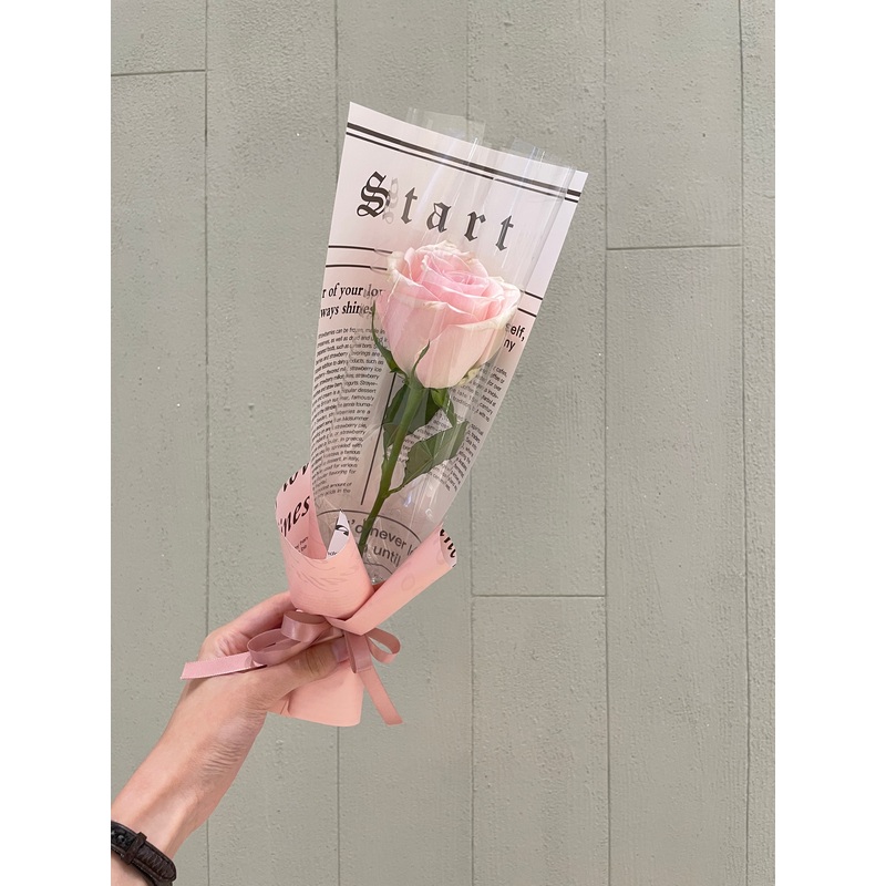 Amore Roses-Pink & Red & Pink and red