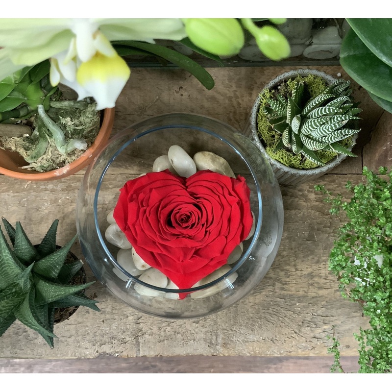 Large Red Heart in Glass Bowl