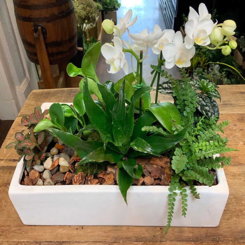 Mixed Planter in Rectangular Ceramic