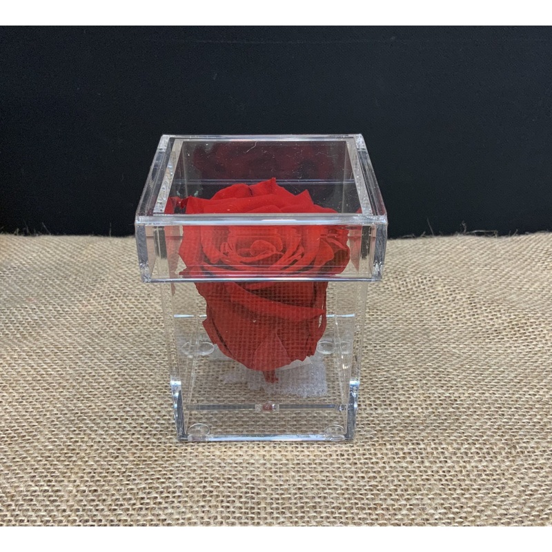 Single Red Rose in Acrylic Keepsake Box