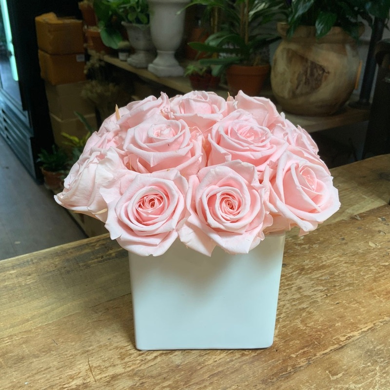 16 Pink Preserved Roses in White Ceramic Cube