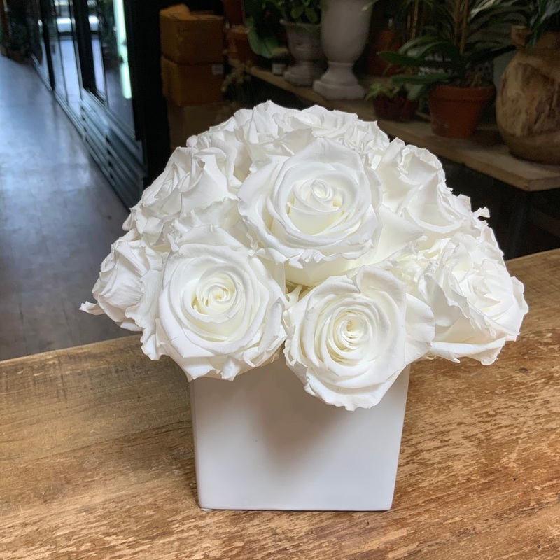 16 White Preserved Roses in White Ceramic Cube