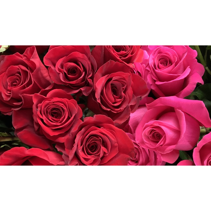 3 Dozen Roses in a Vase