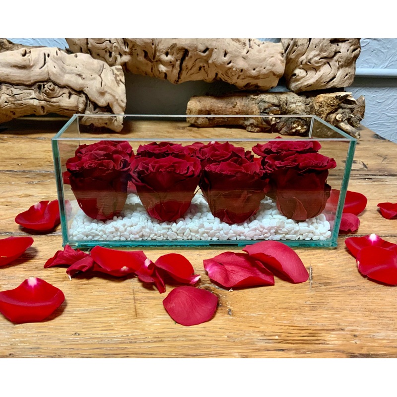 8 Preserved Roses in a Glass Rectangular Vessel