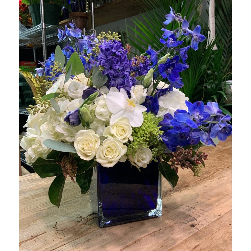 Blue & Prosper- Orchids, Blue Delphiniums & Spray Roses in a Blue Cube Vase