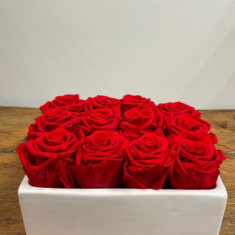 Dozen Red Preserved Roses in White Ceramic Vase
