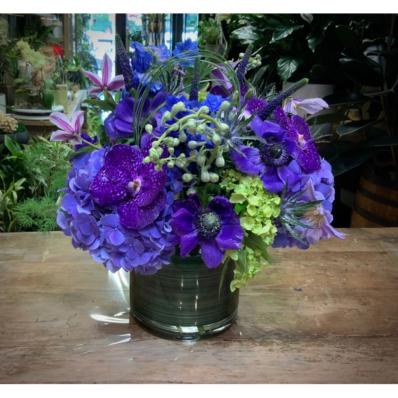 Royal Blues in a Clear 6 Cylinder