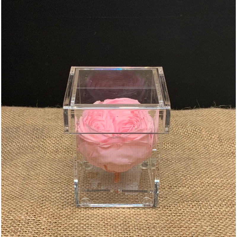 Single Pink Rose in Acrylic Keepsake Box