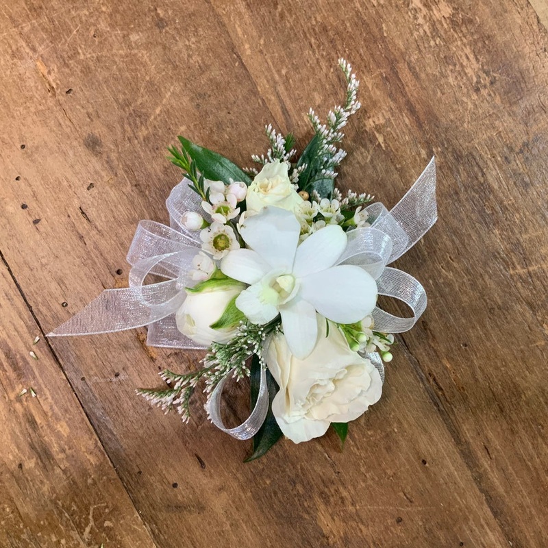 White Dendrobian Orchid