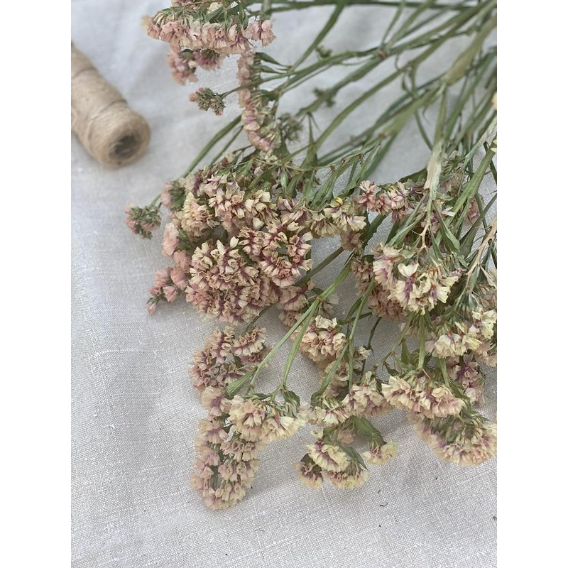 A Bunch of Mid Pink Limonium-approx 37cms diameter-Mid Pink