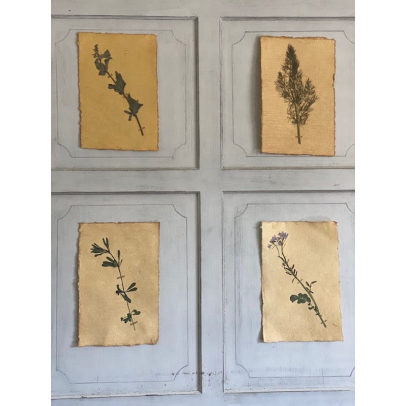 A Set of Four Flower Pressings