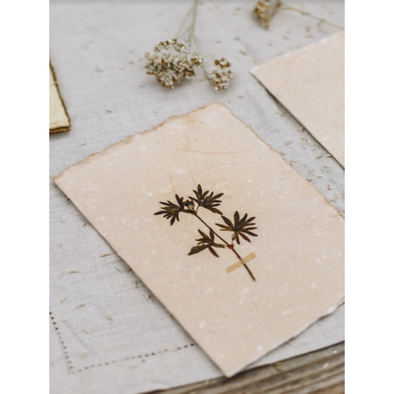 Black Sambucus Sprig-Black Sambucus Dried Leaf-approx 11cms wide x 16cms long-handmade rag paper