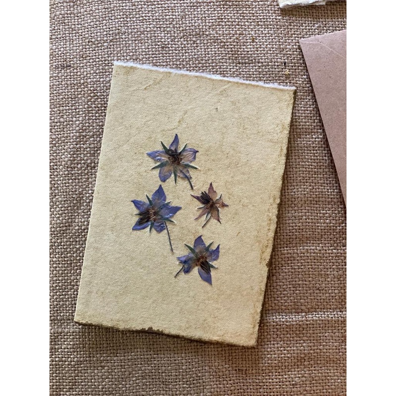 Borage Flowers-Blue Borage Flowers-approx 11cms wide x 16cms long-handmade rag paper