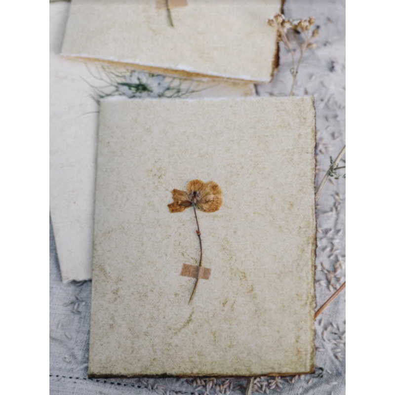 Buttercup-Buttercup pressed flower-approx 11cms wide x 16cms long-handmade rag paper