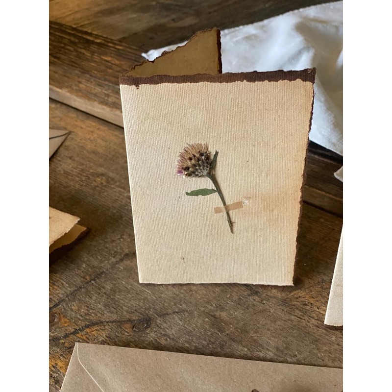 Clover-Clover Flower-approx 11cms wide x 16cms long-handmade rag paper