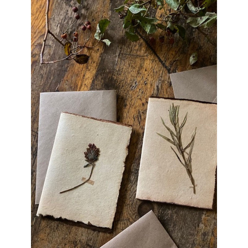 Clover Flower-Clover Flower-approx 11cms wide x 16cms long-handmade rag paper