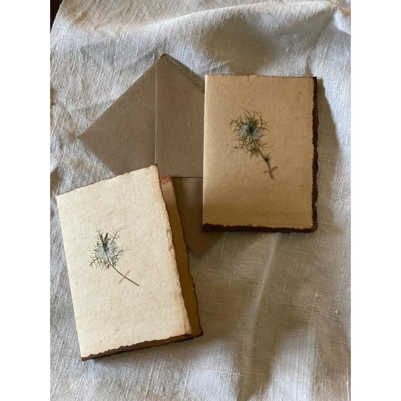 Cornflower Sprig-Pale blue cornflower-approx 11cms wide x 16cms long-handmade rag paper