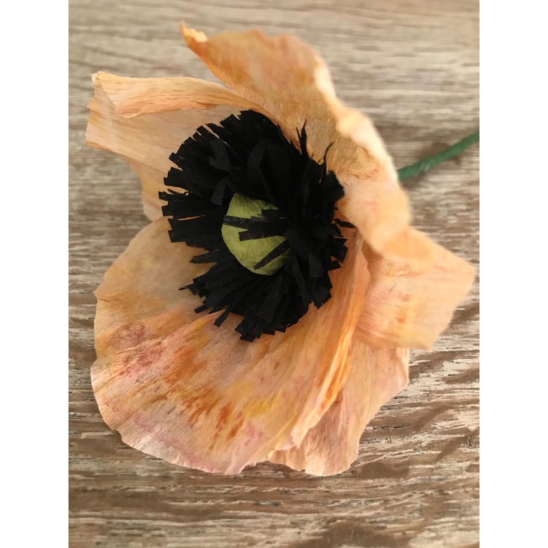 Crepe Paper Poppy