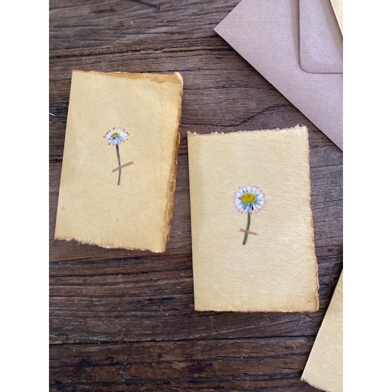 Daisy-Daisy-approx 11cms wide x 16cms long-handmade rag paper