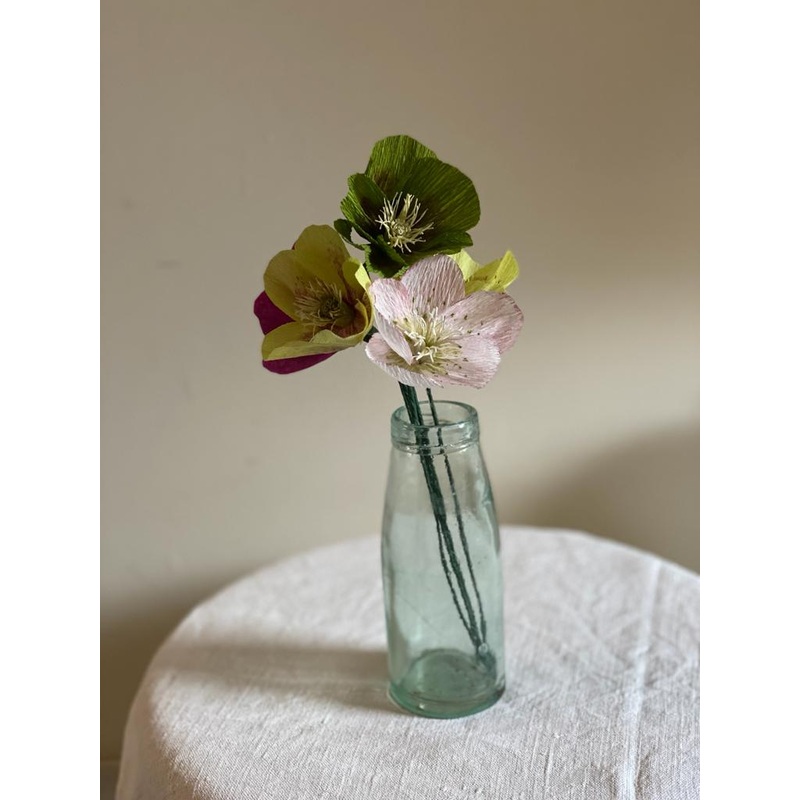 Deep Green Paper Hellebore