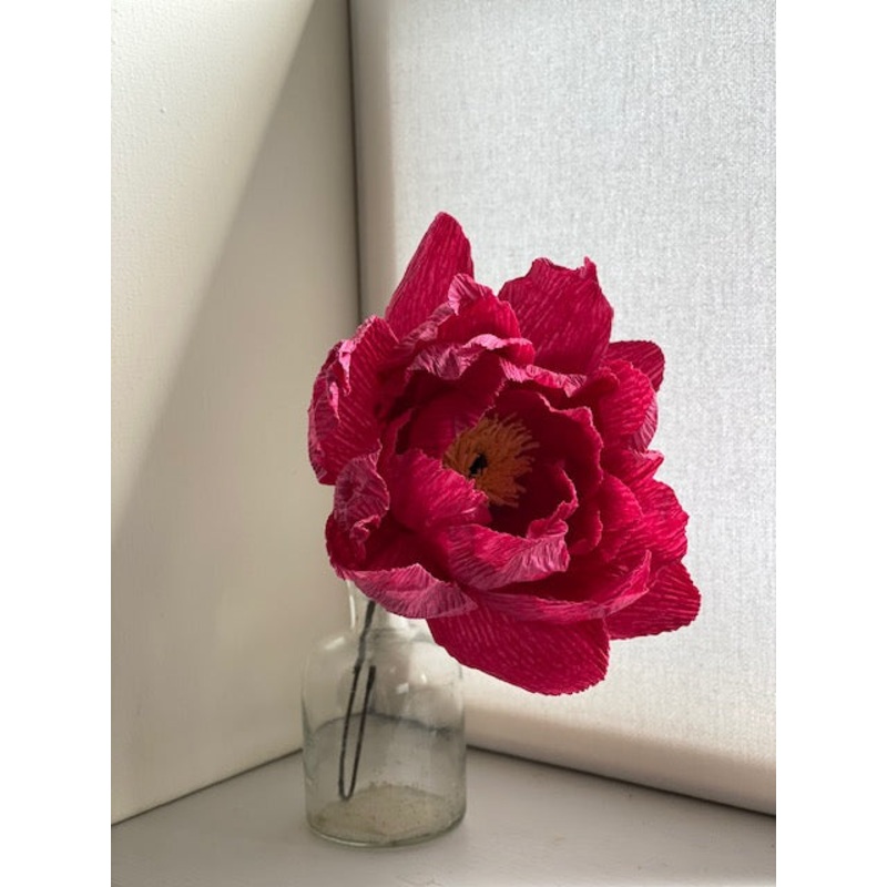 Deep Pink Paper Peony