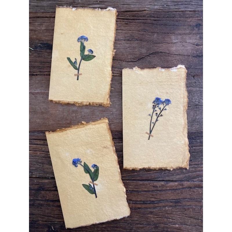 Forget Me Not Card-Forget me Knot-approx 11cms wide x 16cms long-handmade rag paper