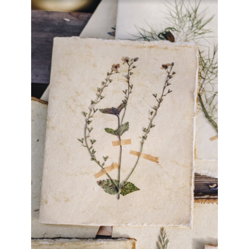 Forget me Not Flowers-Forget me Knot Flowers-approx 11cms wide x 16cms long-handmade rag paper