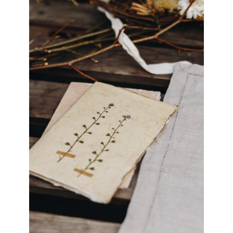 Forget Me Not Sprigs-Forget Me Knot Sprigs-approx 11cms wide x 16cms long-handmade rag paper