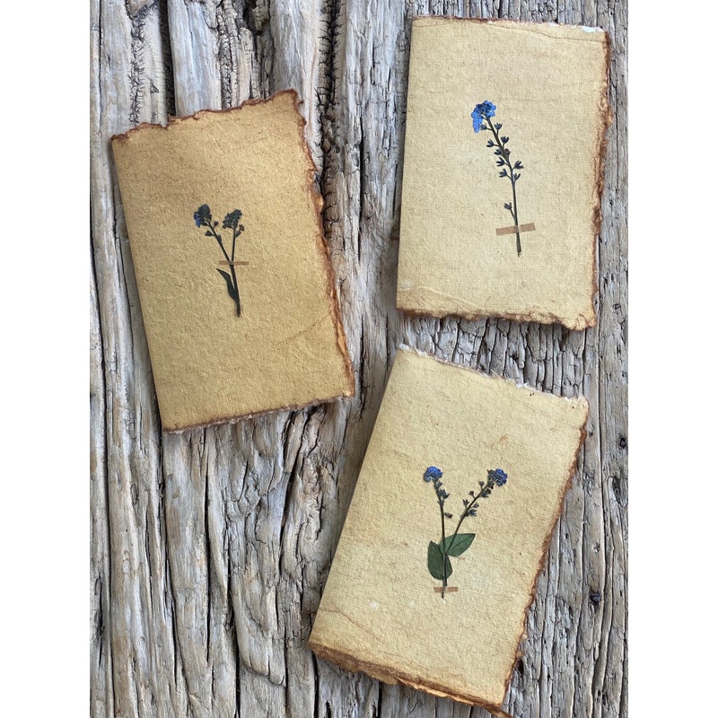 Forget me Nots-Forget me Knot Flowers-approx 11cms wide x 16cms long-handmade rag paper