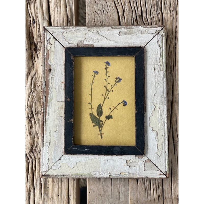 Framed Forget me Not-Forget me Not-approx 20cms wide x 30cms long & Size of Frame & Wide 28.5cms x High 34.5cms x Depth 1.5cms-handmade rag paper