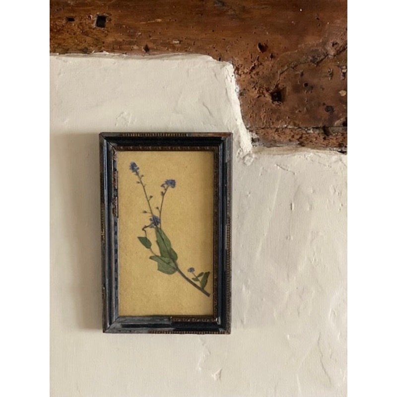 Framed Forget me Not-Framed Forget me Not-Wide 12cms x High 19cms x Depth 1.5cms-handmade rag paper