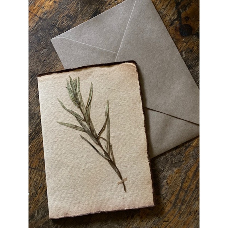 Herb Leaves-Herb-approx 11cms wide x 16cms long-handmade rag paper