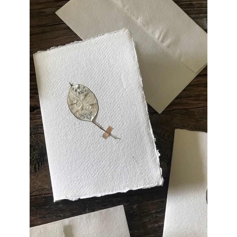 Honesty Card-Honestly Seed Head-approx 11cms wide x 16cms long-handmade rag paper