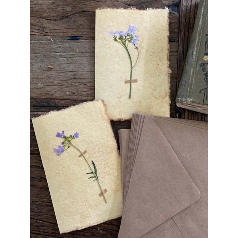 Lady’s Smock-Lady’s Smock-approx 11cms wide x 16cms long-handmade rag paper