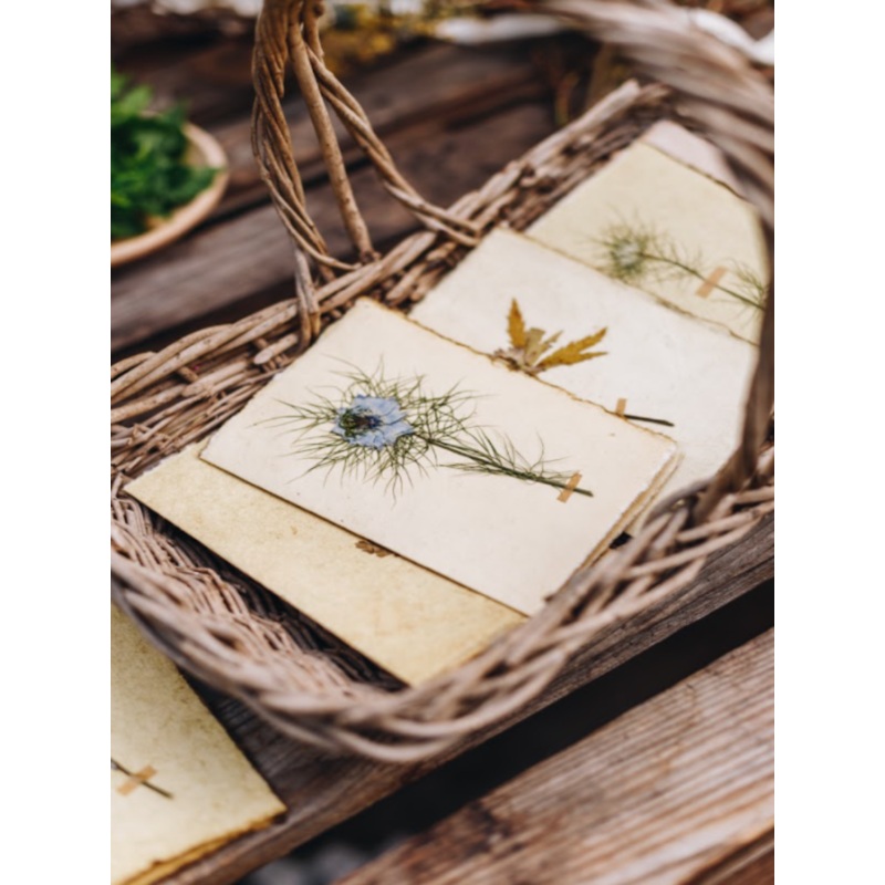 Nigella Flower-Blue Nigella Flower-approx 11cms wide x 16cms long-handmade rag paper