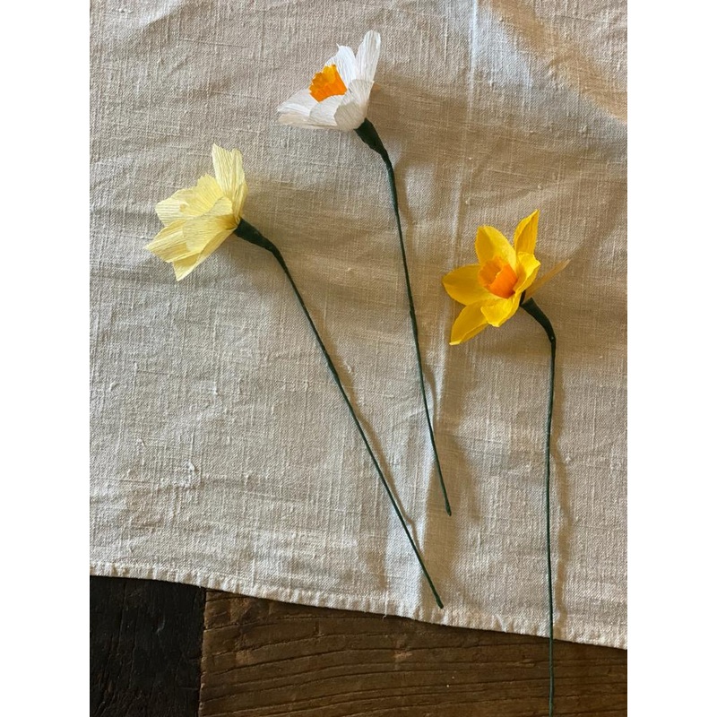 Pale Yellow Paper Daffodil