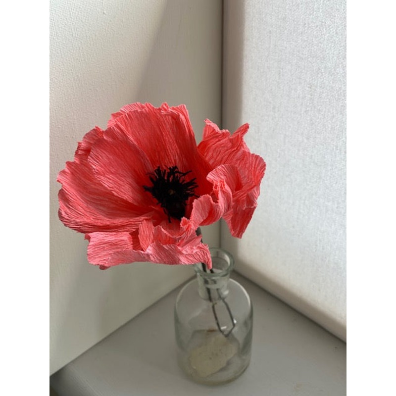 Paper Coral Poppy
