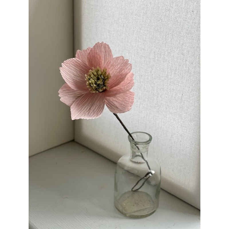 Pink Paper Cosmos