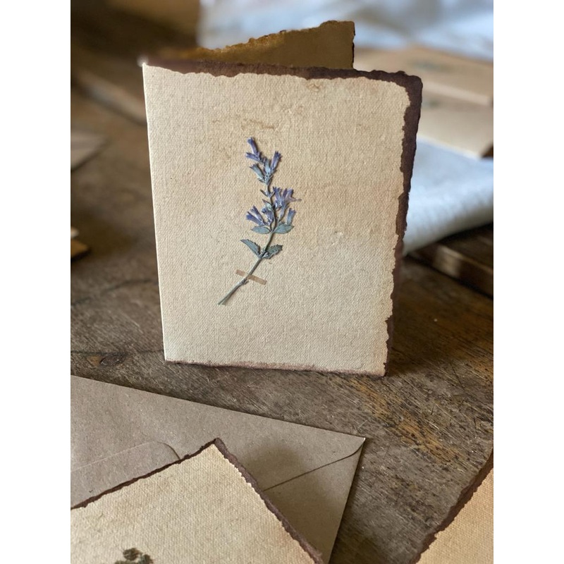 Pressed Flower-Pressed Flower-approx 11cms wide x 16cms long-handmade rag paper