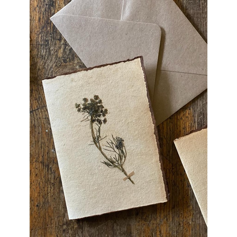 Queen Anns Lace-Queen Annes Lace-approx 11cms wide x 16cms long-handmade rag paper