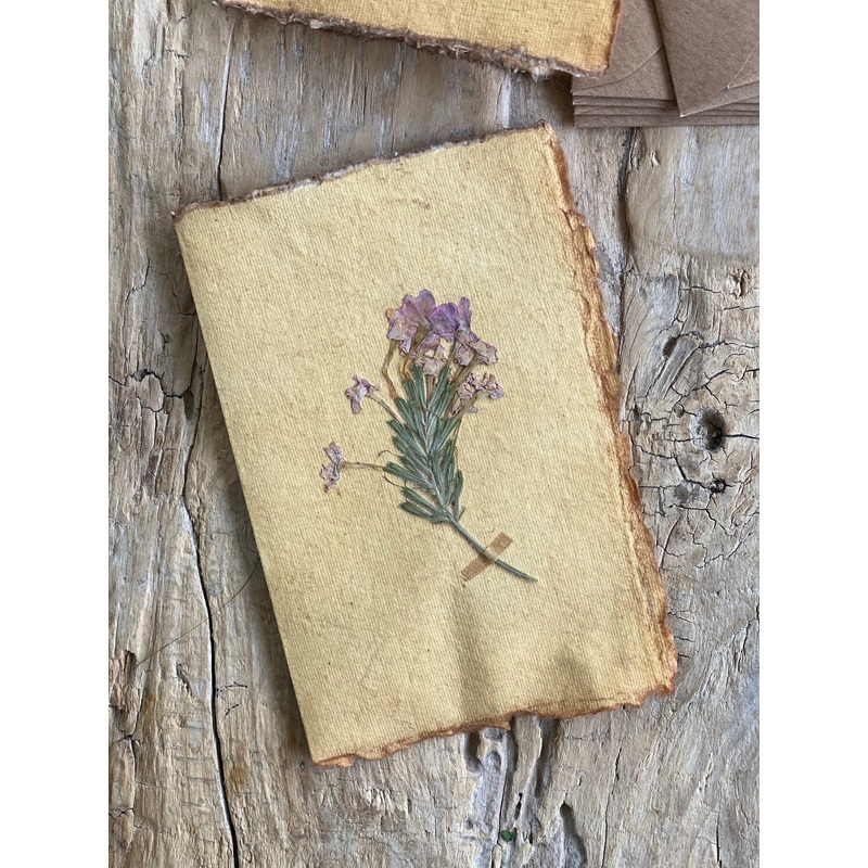 Rosemary Flower-Rosemary Flower-approx 11cms wide x 16cms long-handmade rag paper
