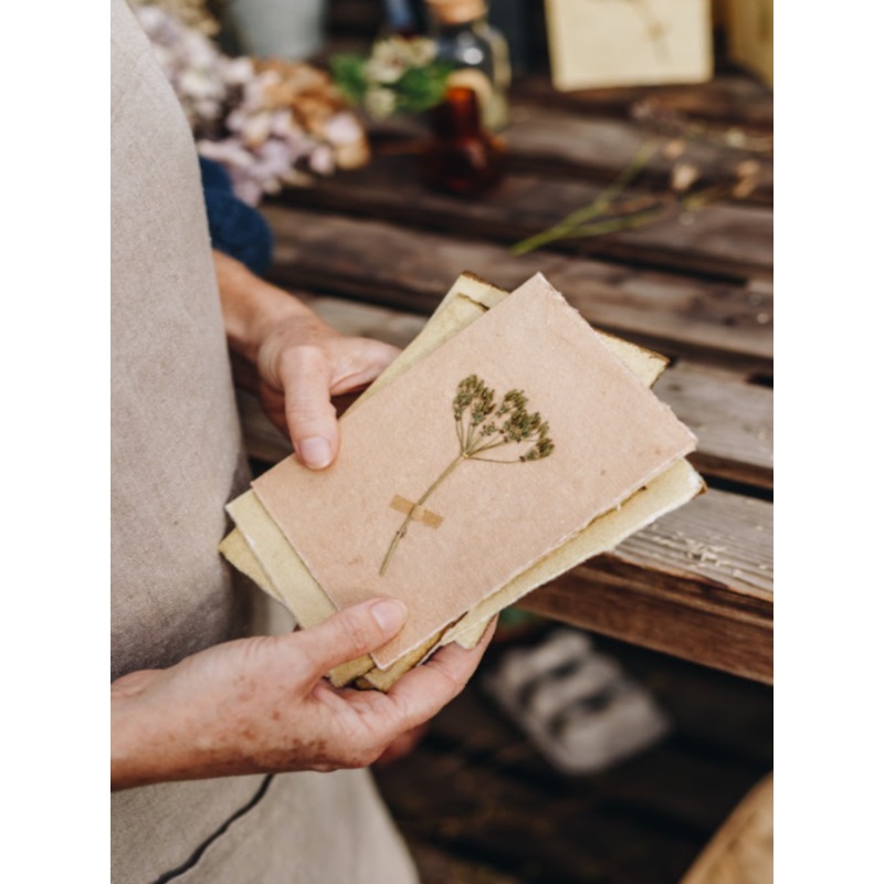 Seed Head-Cow Parsley-approx 11cms wide x 16cms long-handmade rag paper