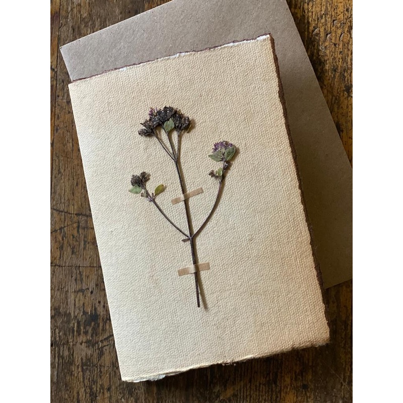 Thyme-Thyme-approx 11cms wide x 16cms long-handmade rag paper